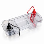 Electrophoresis Horizontal